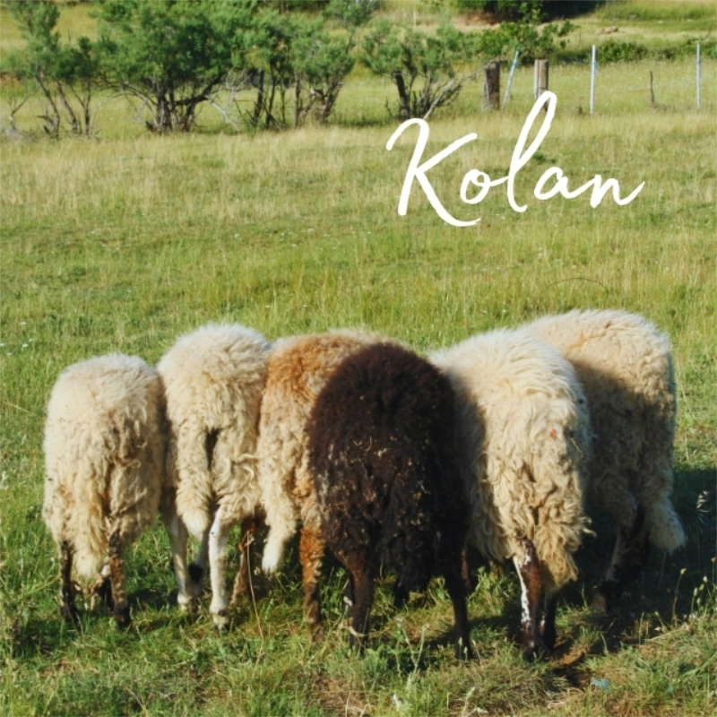 Kvadratni foto magnet - Slika 5